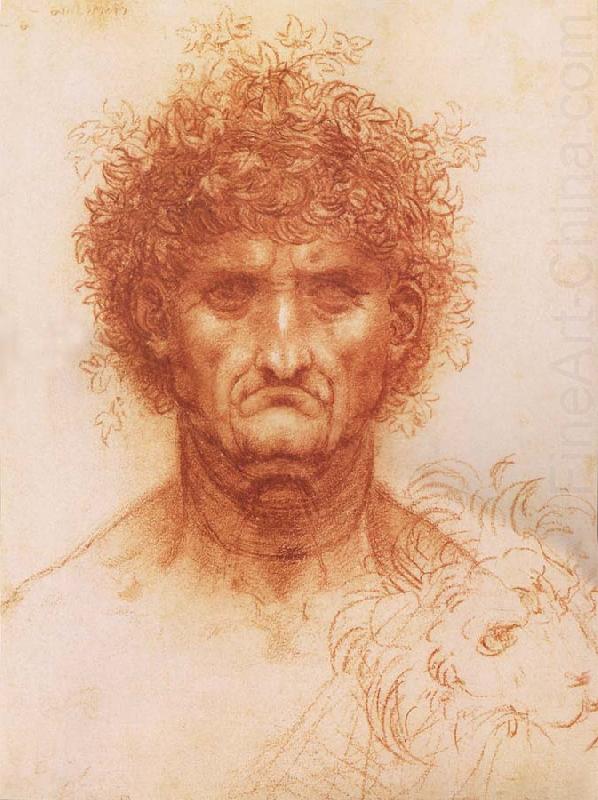 Buste one frontal to seeing man and head of a Lowen, LEONARDO da Vinci